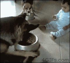 Baby GIF. Jongen Baby Gifs Gelukkig Zoon 