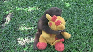 Baby GIF. Baby Engel Prinses Gifs Miss een Jia Gif: missen Ik bracht 80 jaar het verplaatsen 