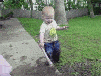Honden GIF. Dieren Baby Gifs Hond 