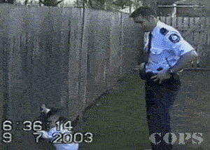 Baby GIF. Liefde Baby Kat Gifs Snuffelen 