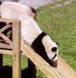 Baby GIF. Liefde Baby Isabella Gifs  Boom Ik houd van u Geluk Spatten Bad tijd Myphotos 