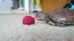 Baby GIF. Tien Baby Gifs Heet A Arts die David tennant Tiende arts Dw Hij is zo schattig Dw cast 