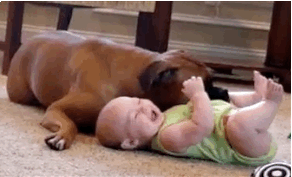 Baby GIF. Baby Gifs Parken en rec 