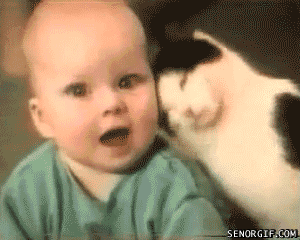 Baby GIF. Liefde Baby Kat Gifs Snuffelen 