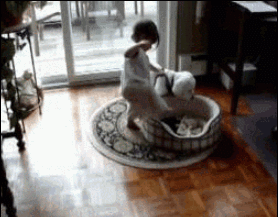 Honden GIF. Dieren Baby Gifs Hond 
