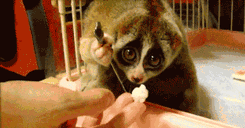 Baby GIF. Baby Gifs Parken en rec 