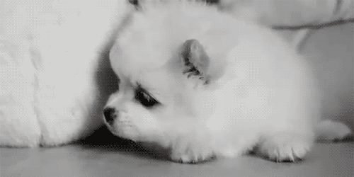 Schattig Demi lovato Baby Gifs mooi lach aw schattig gif lach gif Demi Lovato gif lova 