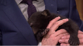 Tien Baby Tv Gifs heet arts die David Tennant tiende arts dw tennant Hij is zo schatti 