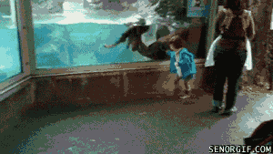 Baby GIF. Baby Gifs Vrolijkheid Blaine anderson 