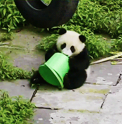 Baby GIF. Ijs Baby Sneeuw Gifs Kind Kleuter Schattige baby Grappige kinderen 