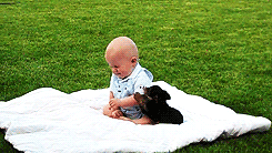 Baby GIF. Schattig Baby Gifs  Gif Vos Animatie overheersing highdef Animatie overheersing Vos adhd 