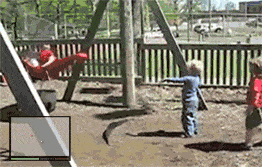 Honden GIF. Dieren Baby Gifs Hond Teckel Photobomb 