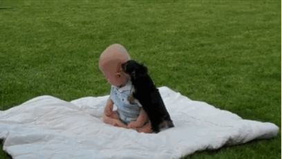 Dieren Baby Gifs slaperig cheetah knipperen 