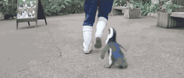 Baby Gifs haten haters kruipen haters gaan haten 
