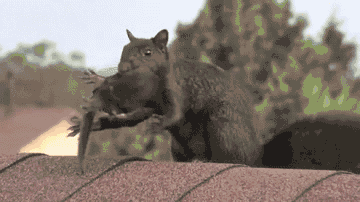 Bang Baby Memes Gifs geschokt verwonderd gelukkig glimlachen 