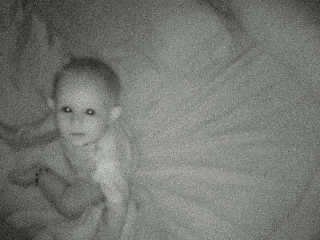 Dieren Fles Melk Olifant Baby Gifs 