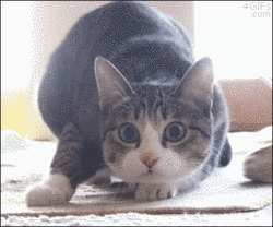 Baby GIF. China Baby Gifs Metro Taiwanese animatie Nmatv Openbaar vervoer Vandalisme Plassen Toer 