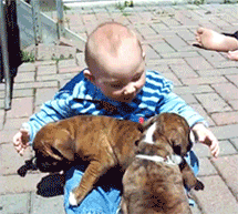 Baby GIF. Baby Tv Kus Gifs Reactie Haat Zuigeling 