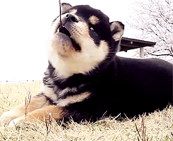 Baby GIF. Muziek Demi lovato Baby Gifs Concert 