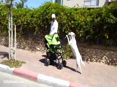 Dragon ball z Grappig Baby Gifs grappige baby kamekameha 