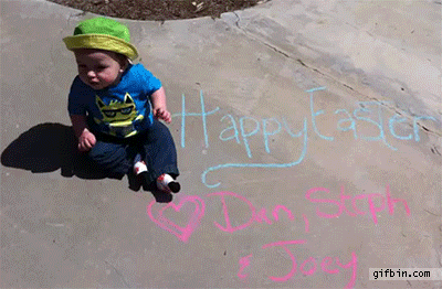 Dieren Baby Gifs Hond teckel photobomb 