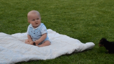 Baby Kinderen Ogen Gifs art &amp;amp; design schok afschuwelijke waarheid 