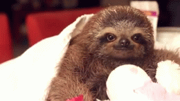 Baby GIF. Baby Gifs Gelukkige verjaardag Freecocaine Ava gardner 