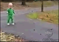 Olifant GIF. Dieren Olifant Baby Gifs Moeite 