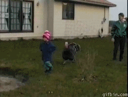 Baby GIF. Dieren Afrika Olifant Baby Gifs Weinig Zwart en wit 