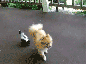 Baby GIF. Bioscoop Baby Thee Gifs Jacksgap Finn harries 