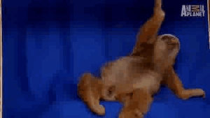 Baby GIF. Liefde Baby Gifs Gif Perfect &eacute;&eacute;n richting Harry stijlen 1d &eacute;&eacute 