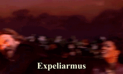 Baby GIF. Dieren Baby Leeuw Gifs Partij Zo hongerig Hes slechts een kleine zebra Leeuw probeert bab 