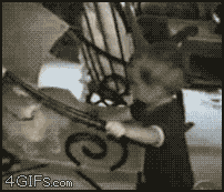 Olifant GIF. Dieren Olifant Baby Gifs Dag 