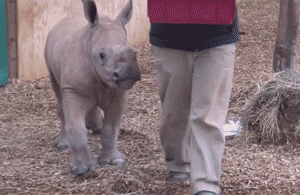 Baby GIF. Schattig Baby Gifs Gelukkig Glimlachen 