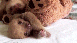 Baby GIF. Vallen Baby Rick Gifs Cartoons en comics Avontuur tijd Cartoon network Bmo Zeepbel Moed 