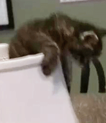 Baby GIF. Baby Gifs Glimlach American idol American idol xiii Sam woolf Top 8 Baby foto 