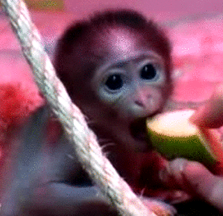 Liefde Baby Isabella Gifs  boom ik houd van u geluk spatten bad tijd MyPhotos 