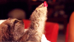 Baby GIF. Baby Engel Prinses Gifs Miss een Jia Gif: missen Ik bracht 80 jaar het verplaatsen 
