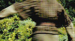 Baby GIF. Puppy Baby Gifs Dit is zo leuk ik kon kotsen Desty Scissorsafely Lol ik haat niet wetend w 