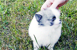 Baby GIF. Baby Gifs Slaap Aziatische baby Schattigste ding ooit 