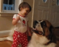 Baby GIF. Dieren Olifant Baby Gifs Romp Manier 