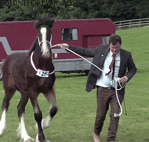 Baby GIF. Schattig Baby Memes Gifs Schattige baby 