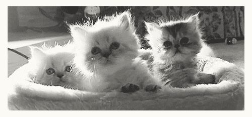Schattig Demi lovato Baby Gifs mooi lach aw schattig gif lach gif Demi Lovato gif lova 