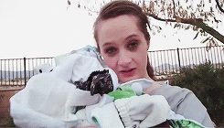 Baby GIF. Puppy Baby Gifs Dit is zo leuk ik kon kotsen Desty Scissorsafely Lol ik haat niet wetend w 