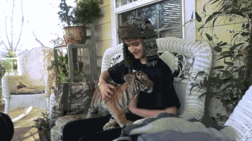 Dieren Baby Gifs Hond teckel photobomb 