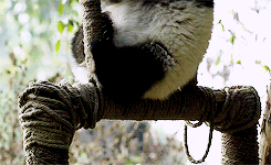Baby GIF. Baby Engel Prinses Gifs Miss een Jia Gif: missen Ik bracht 80 jaar het verplaatsen 