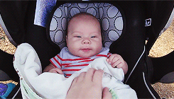Baby GIF. Puppy Baby Gifs Dit is zo leuk ik kon kotsen Desty Scissorsafely Lol ik haat niet wetend w 
