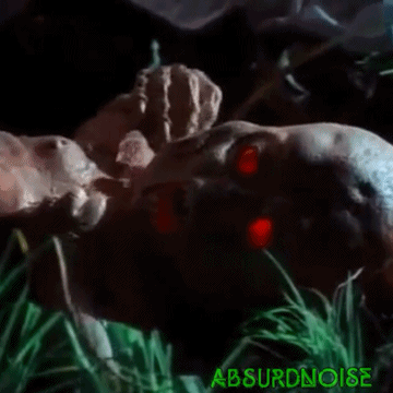 Dieren Liefde Schattig Natuur Water Baby Gifs  leven dier mooi zoet schoonheid kind 