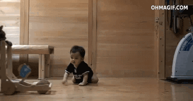 Dieren Schattig Baby Egel Gifs geeuw 
