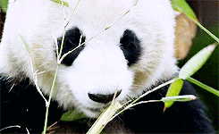 Baby GIF. Vallen Baby Rick Gifs Cartoons en comics Avontuur tijd Cartoon network Bmo Zeepbel Moed 